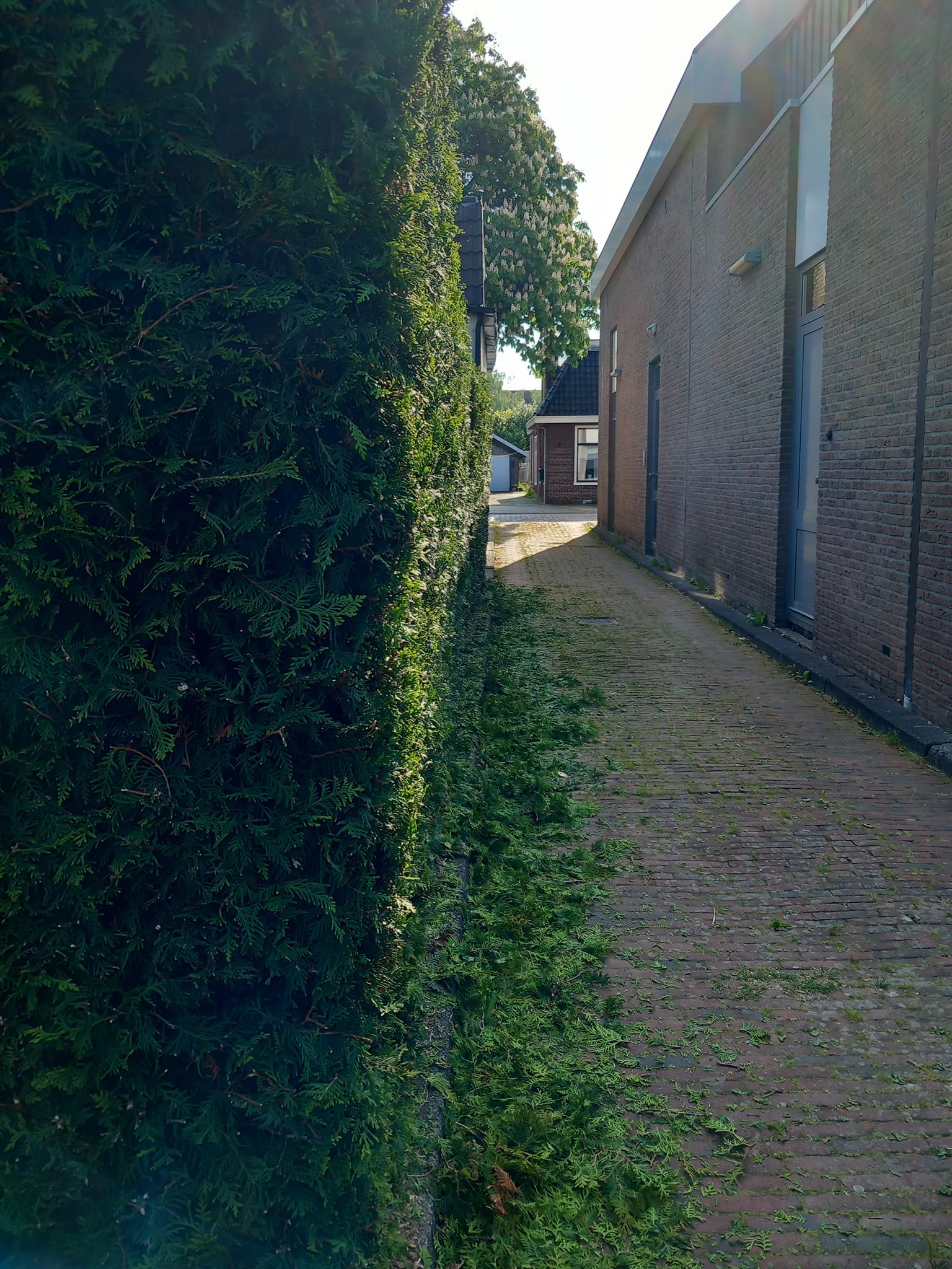 portfolio-clean-hedge